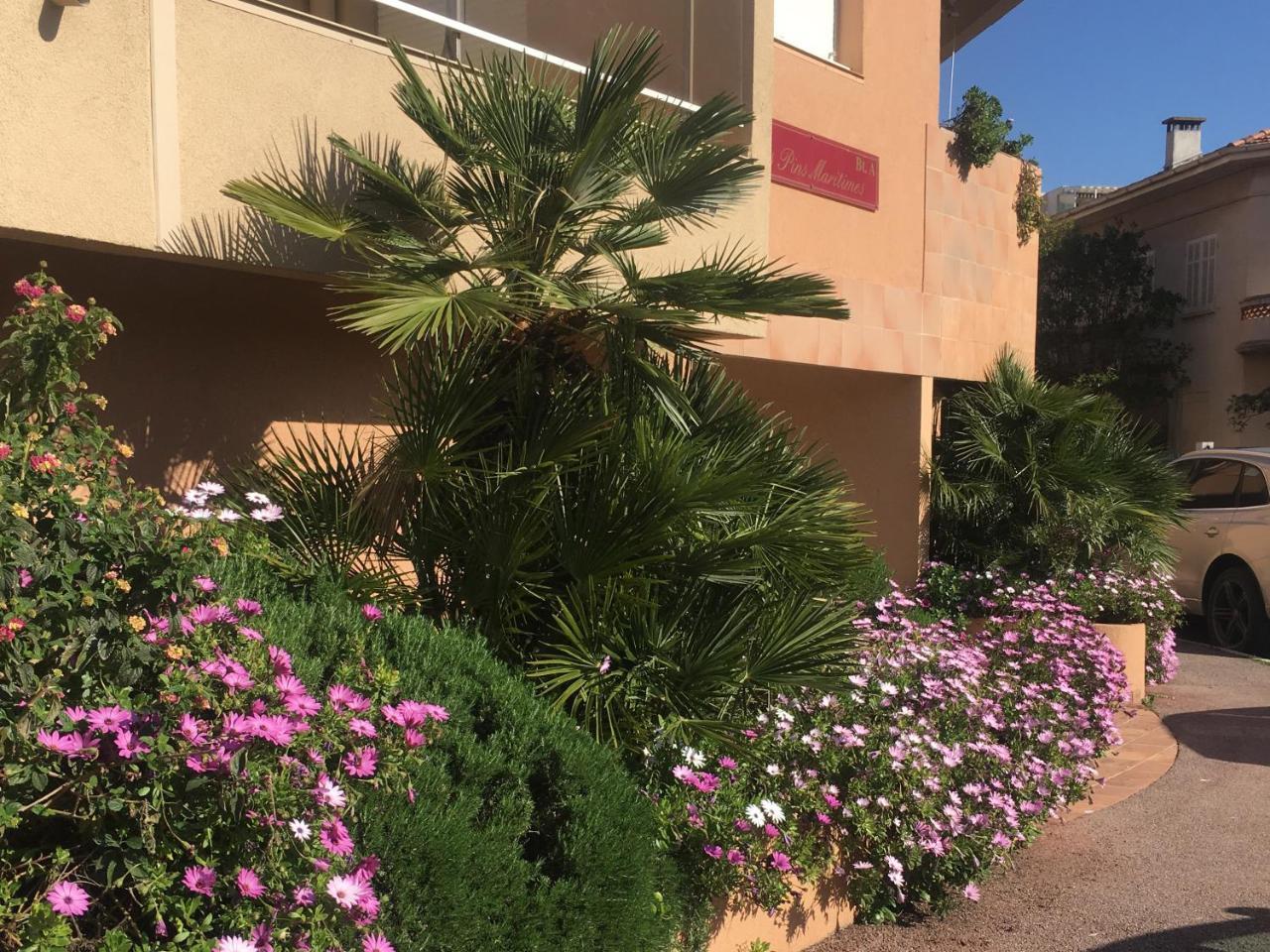 Les Pins Maritimes Apartment Frejus Exterior photo
